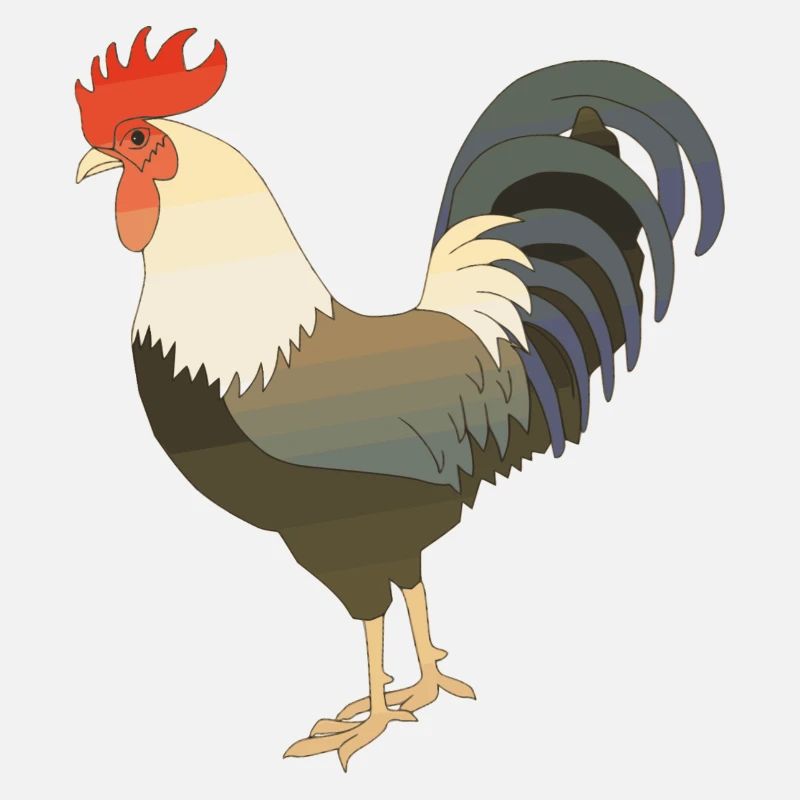 Coq