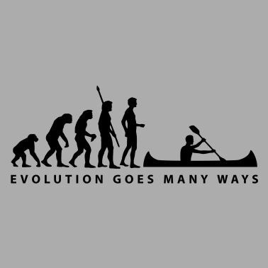 evolution_ruderer_b_1c