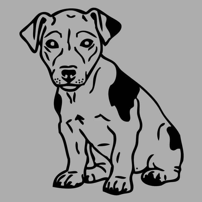 jack russel © www.dog-power.nl