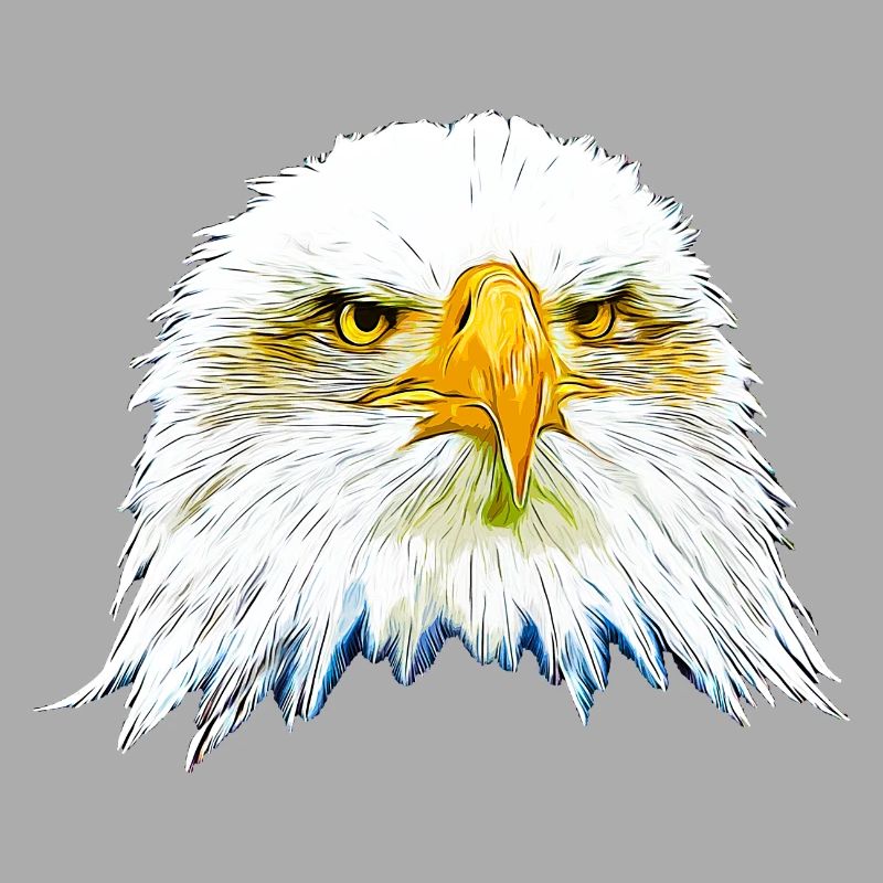 gxp eagle bald eagle vector art