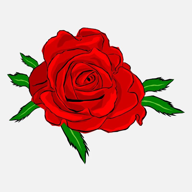Red rose flower