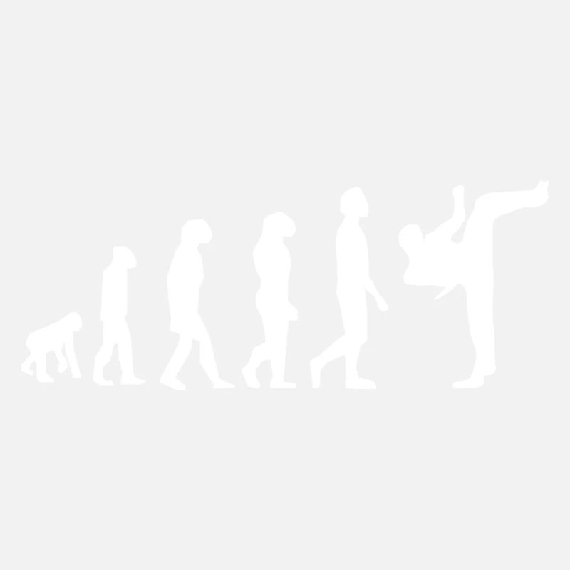 Art martiaux évolution