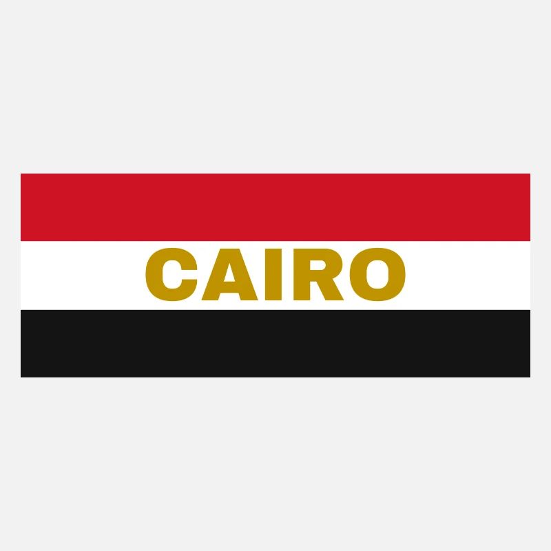 La ville du Caire aux couleurs du drapeau égyptien