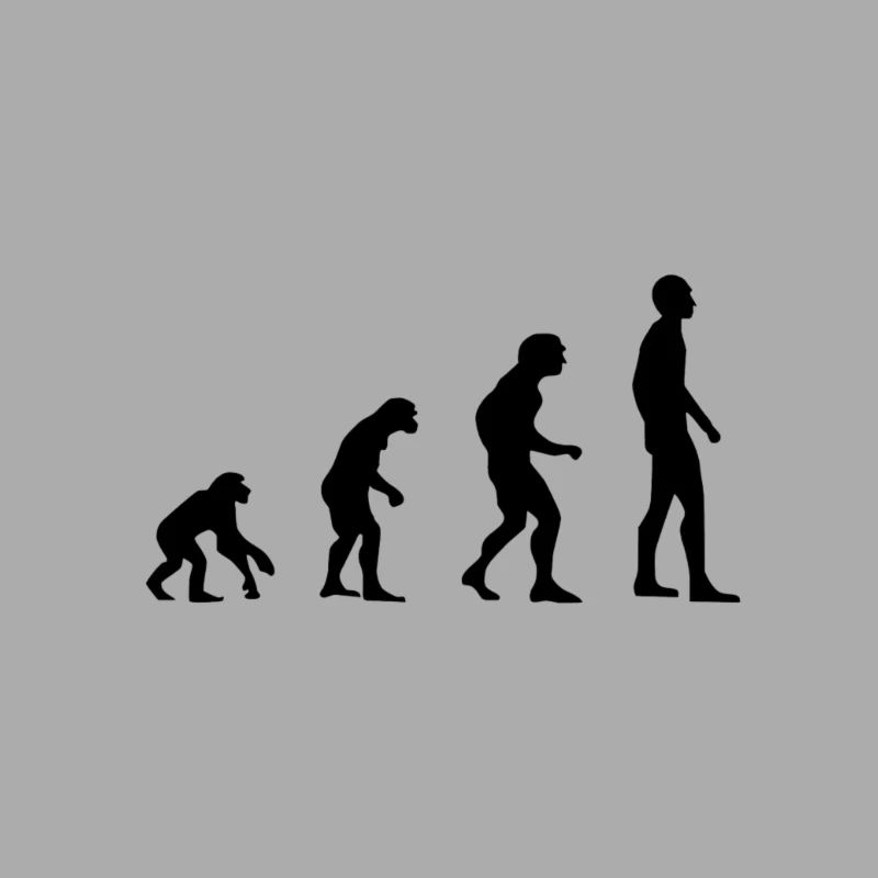 Evolution human