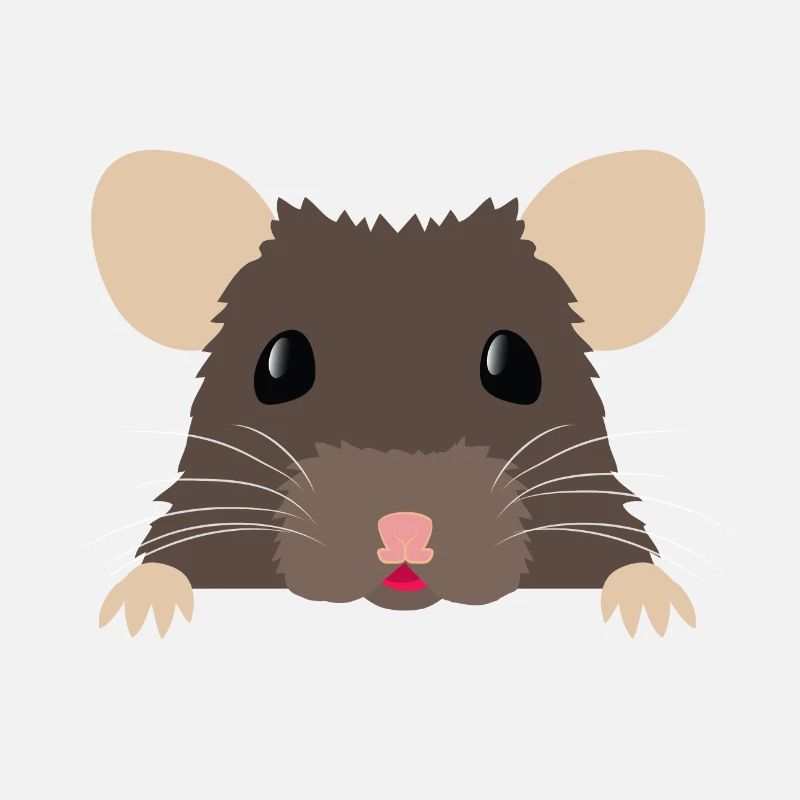 Niedliche spähende braune ratty Ratte
