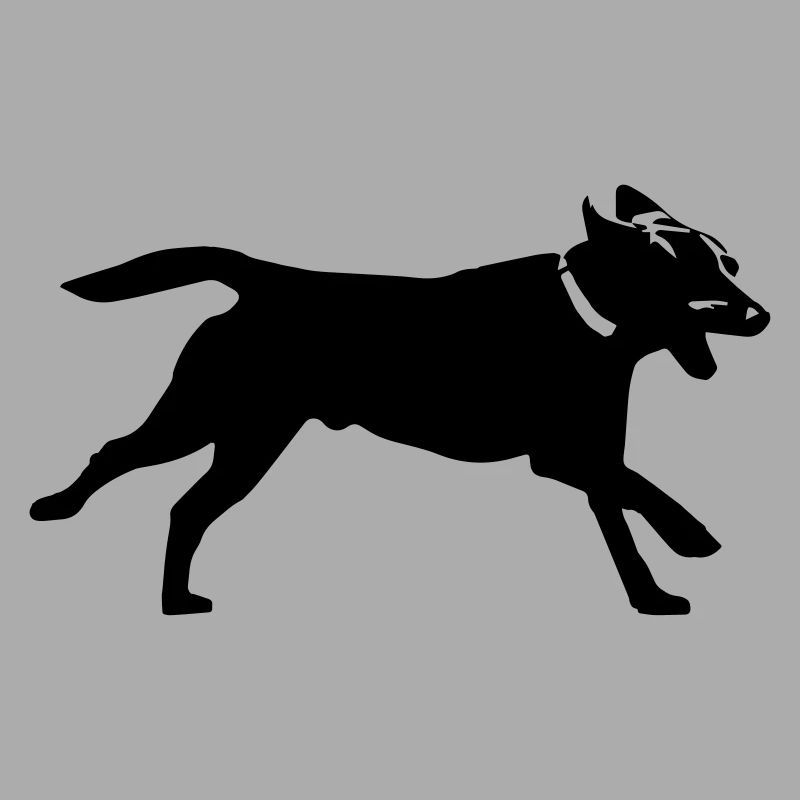 Hund