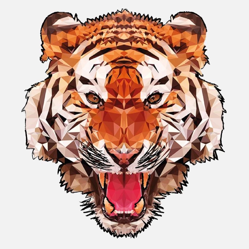Conception de polygone de tigre