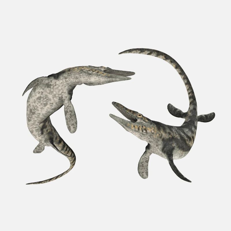 Mosasaurier Tylosaurus