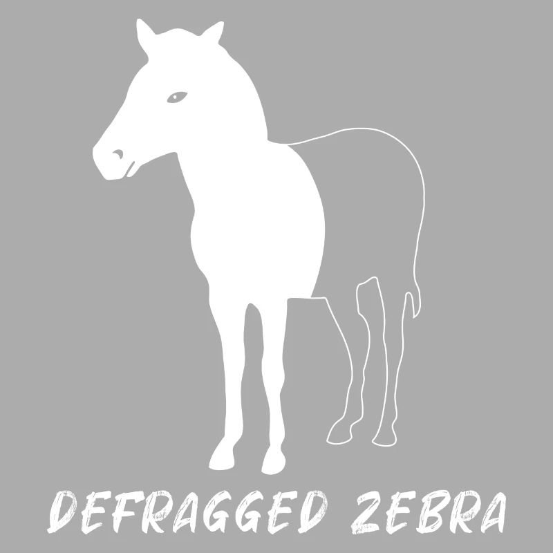 Defragged Zebra Admin Geek Programmierer Geschenk