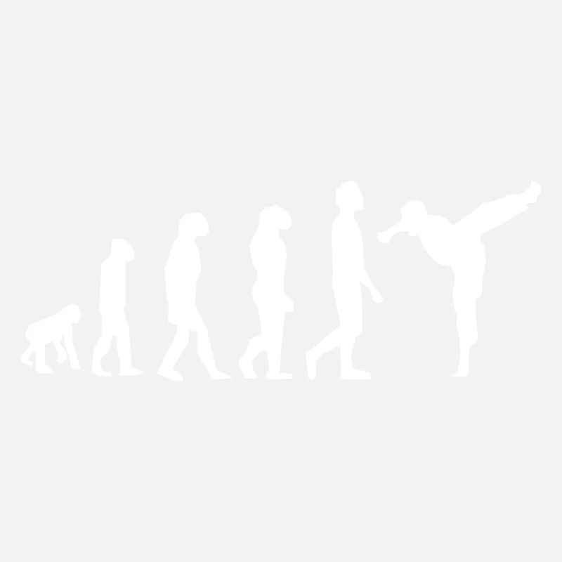 Evolution der Kampfkünste
