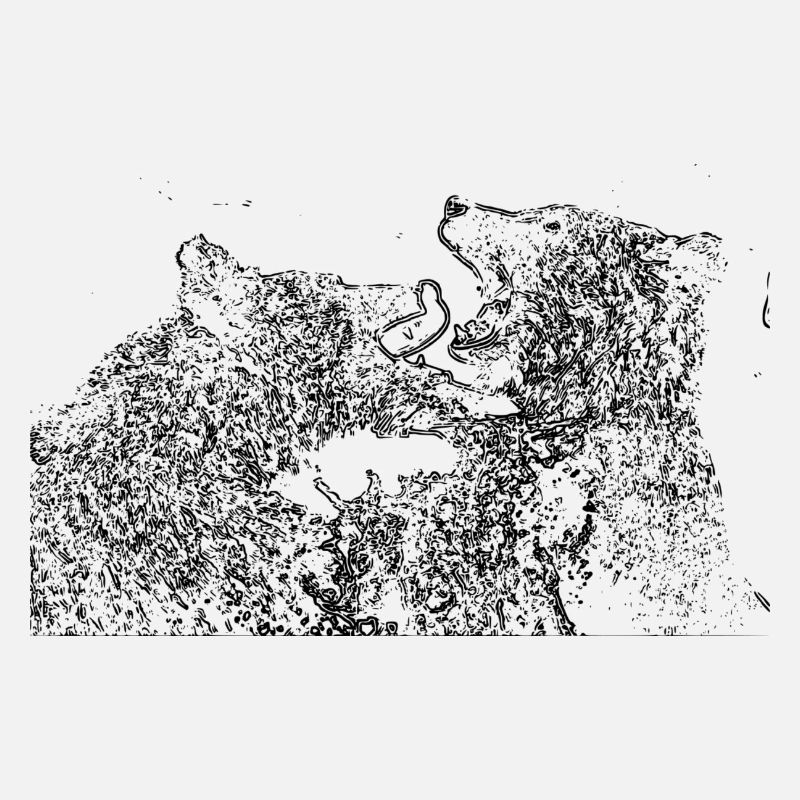 Bears