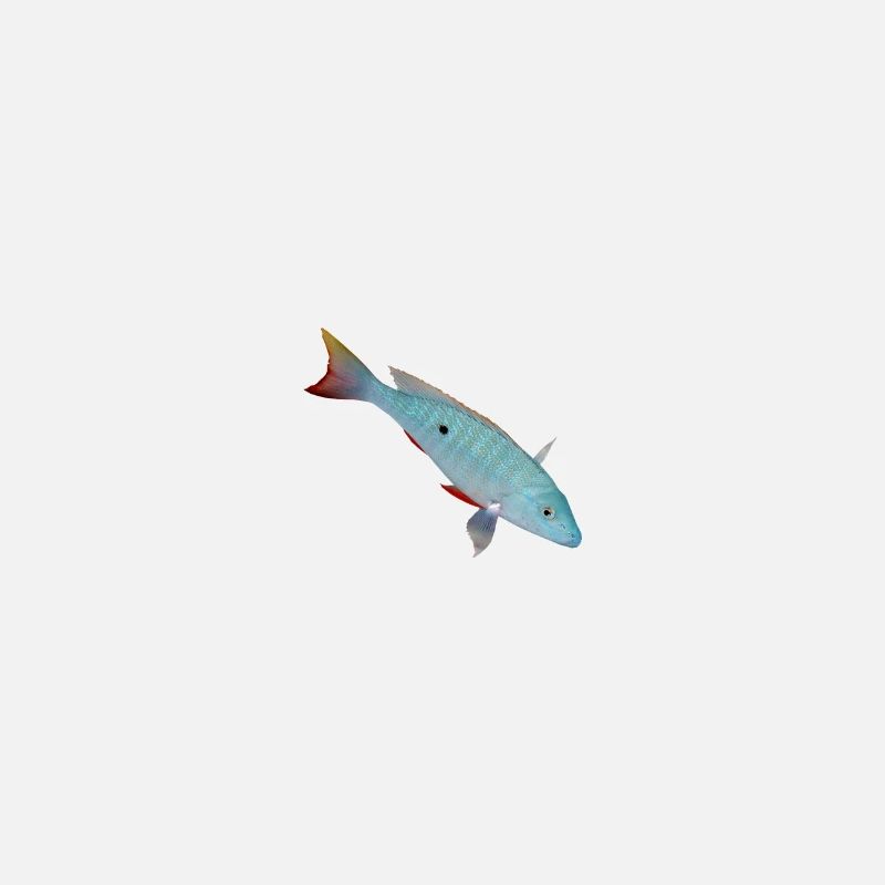 Fisch