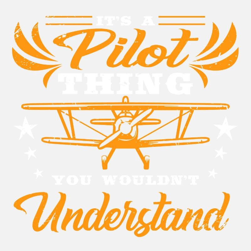 Pilot Flugzeug Himmel Luft Fliegen Beruf Hobby