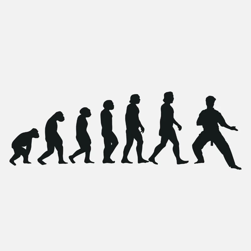 Évolution du karaté