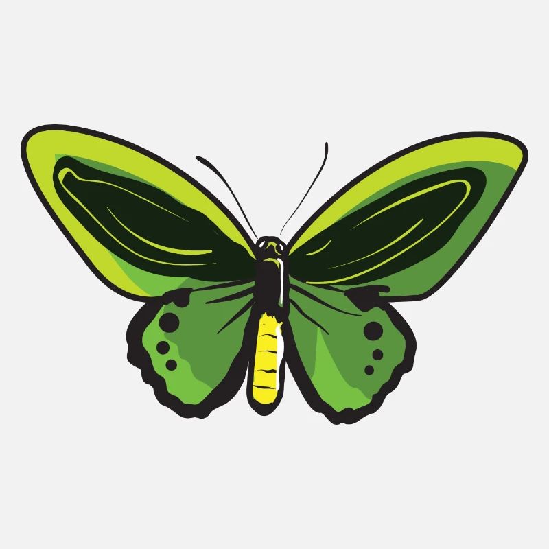 Papillon citron Papillon Papillon papillon