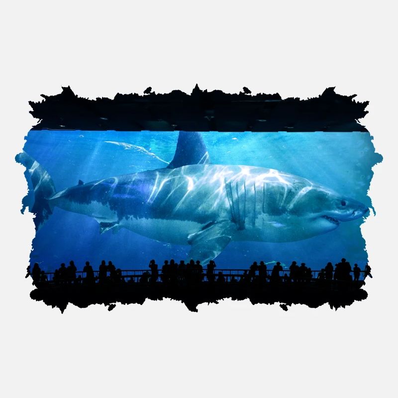 Requin mégalodon dans l'aquarium