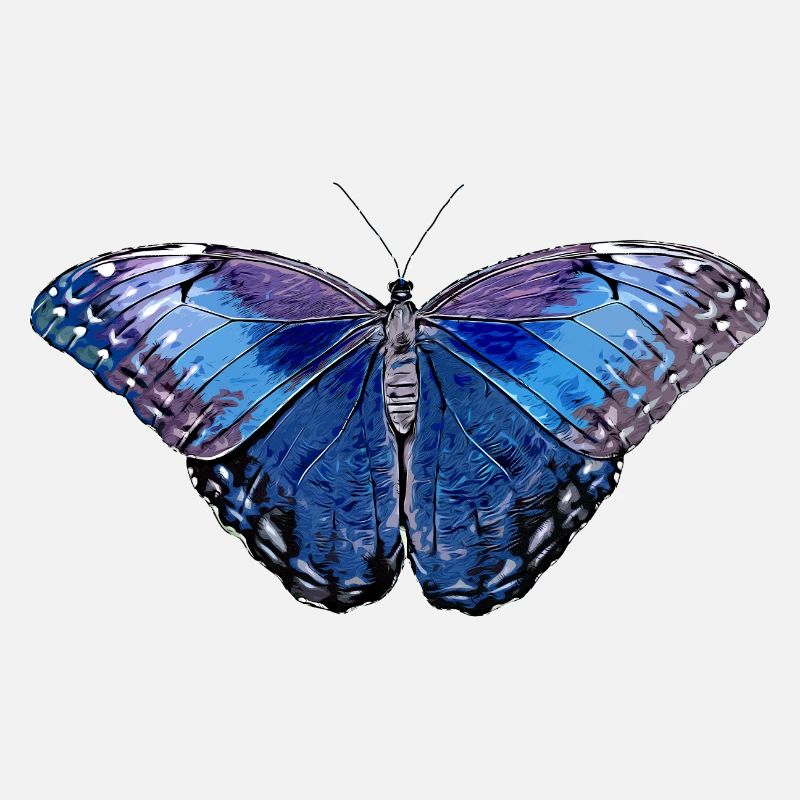 Papillon - bleu