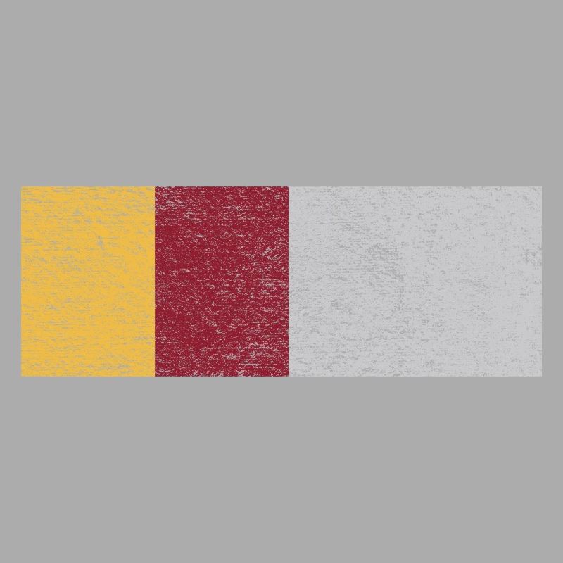 Drapeau des Roms