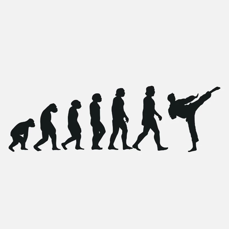 Évolution du karaté