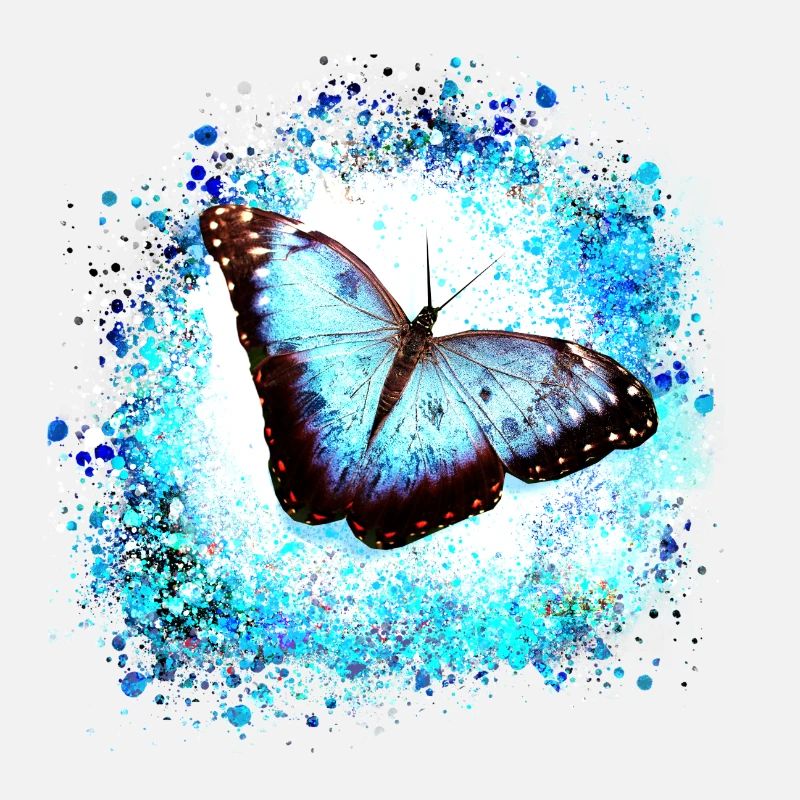 papillon ,bleu ,graffiti,turquoise,peinture