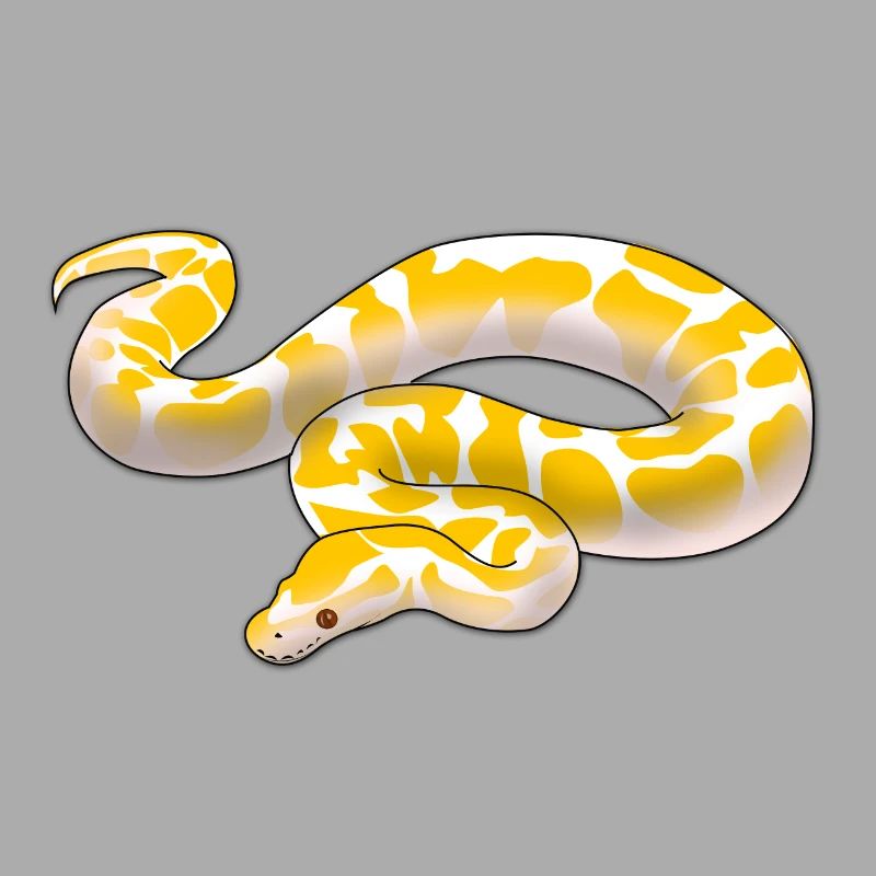 Albino ball python Python regius ballpython motif