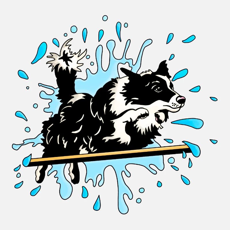 border collie agility splash bleu