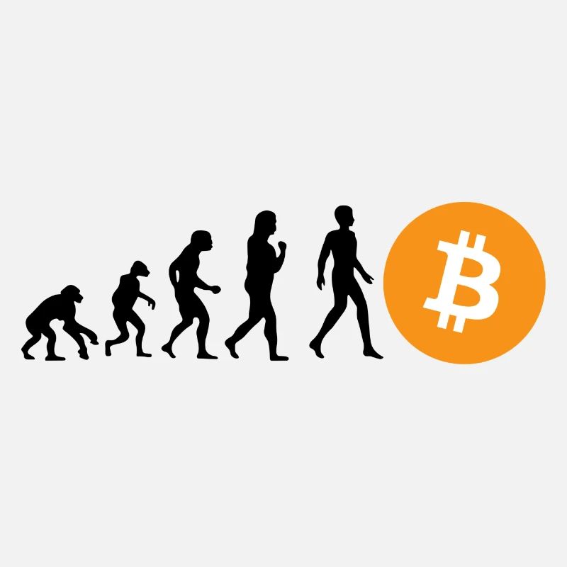 Crypto Evolution of BTC Bitcoin