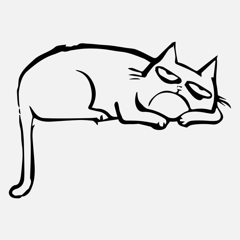 funny cat