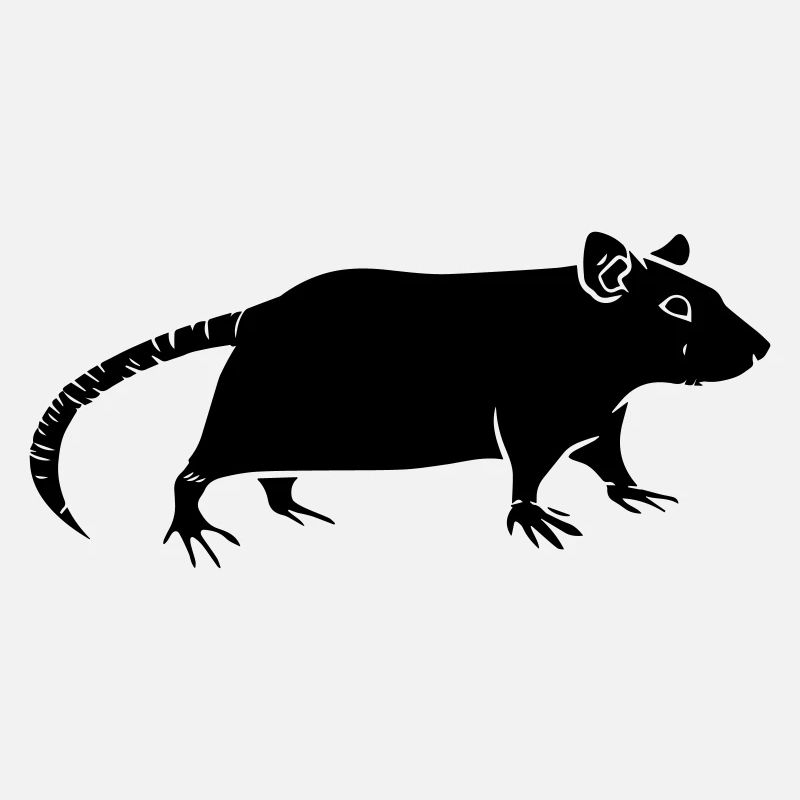 rat