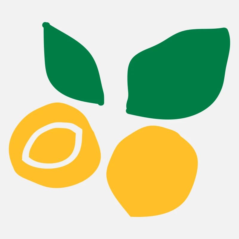 Apricot fruit c2