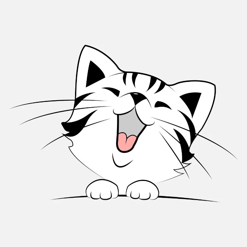 Cute cat