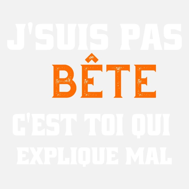 j suis pas bête c'est toi qui explique mal