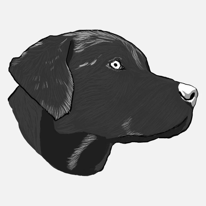 Dessin d’un Labrador Retriever de profil