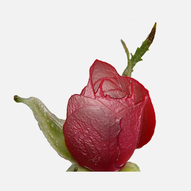 Red Rose