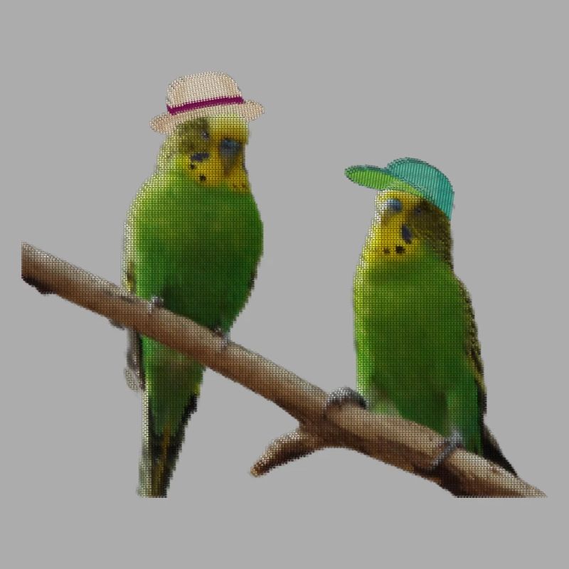 Budgerigar dot pixel