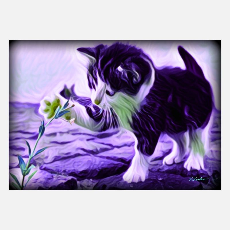 chaton jouant