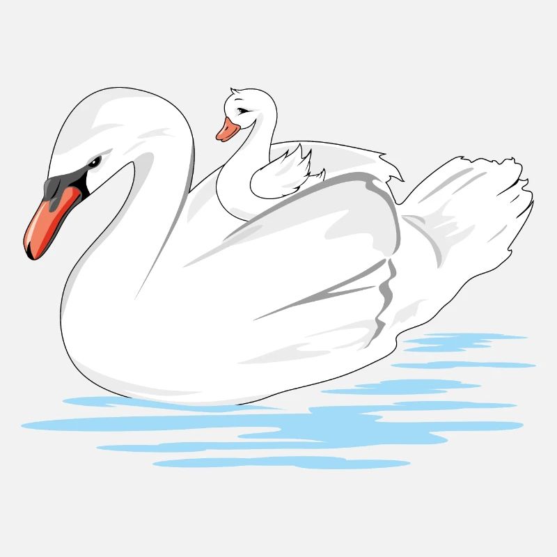 Une maman cygne blanc et son bébé