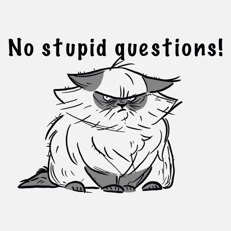 Pas de questions stupides !