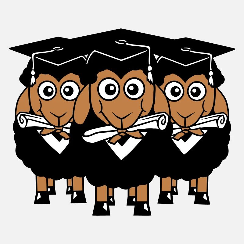 3 Sheep Certificate College Abi Trois étudiants Équipe