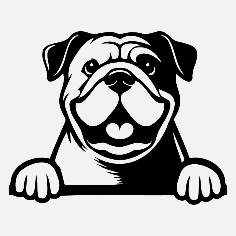 Bouledogue anglais
