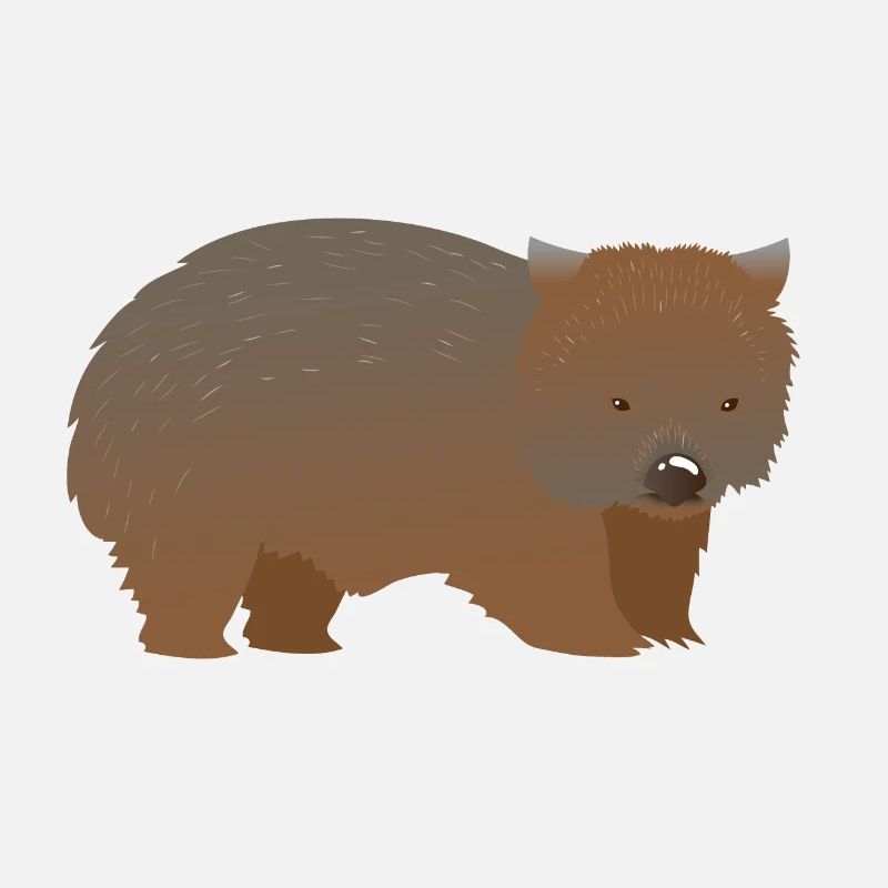 Brauner haariger Nasenwombat
