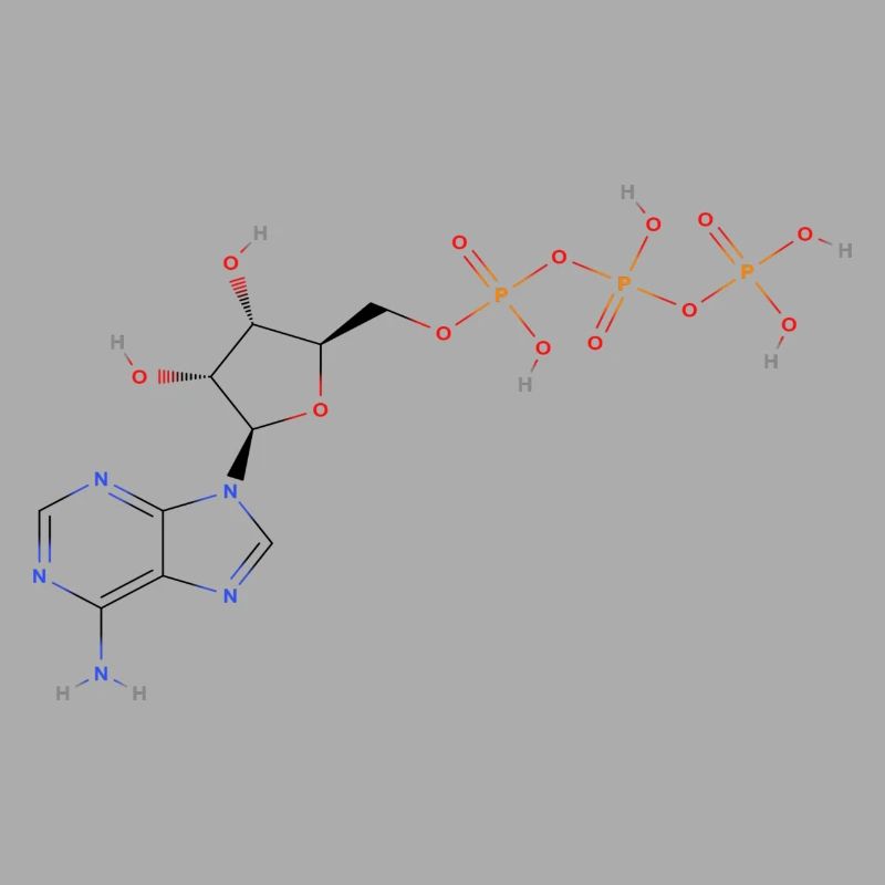 Molécule de triphosphate d’adénosine - Structur coloré