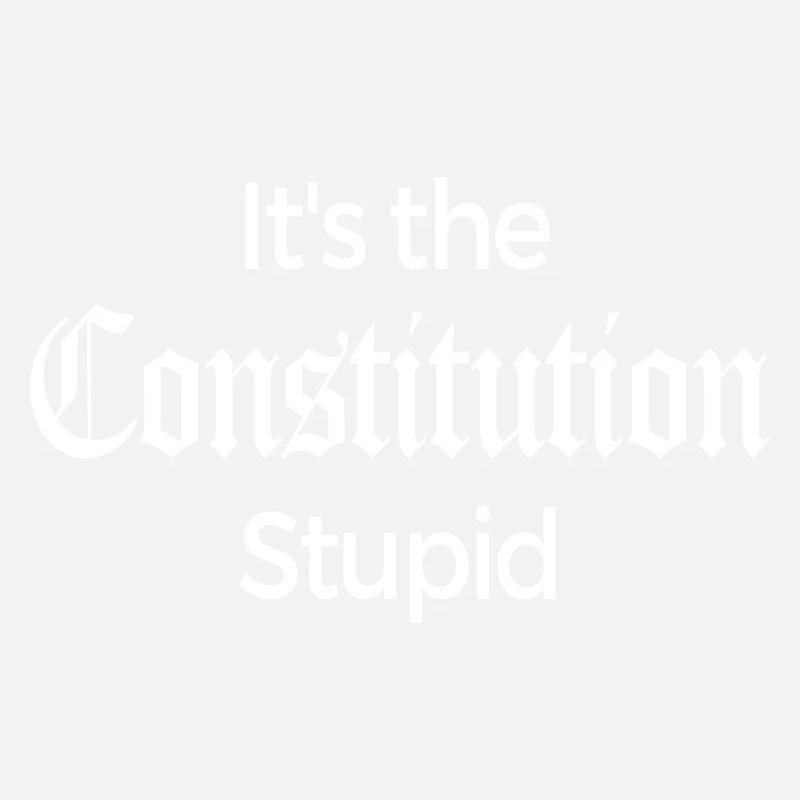 It's The Constitution Stupid - Fun Gift