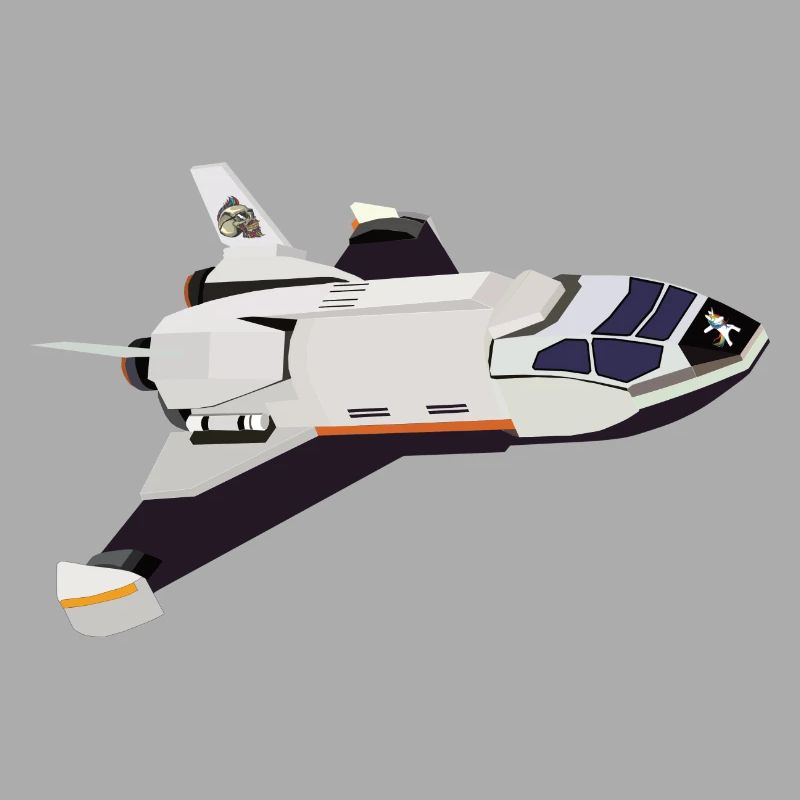 Space Shuttle Flight