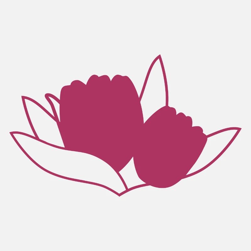 Tulipe Rosa