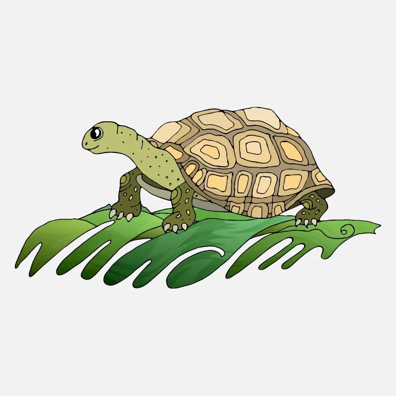 Tortoise