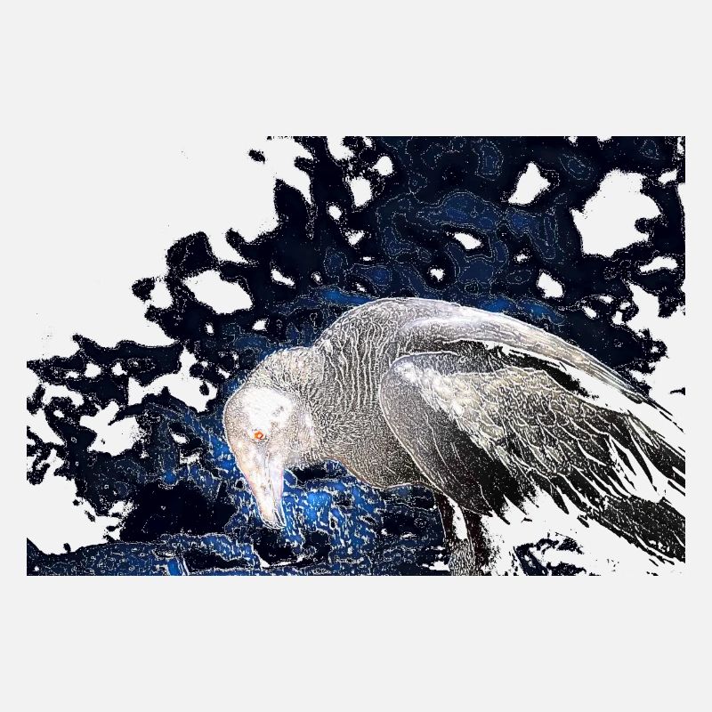 The terrible vulture with the red eye