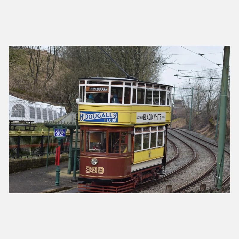 Trams