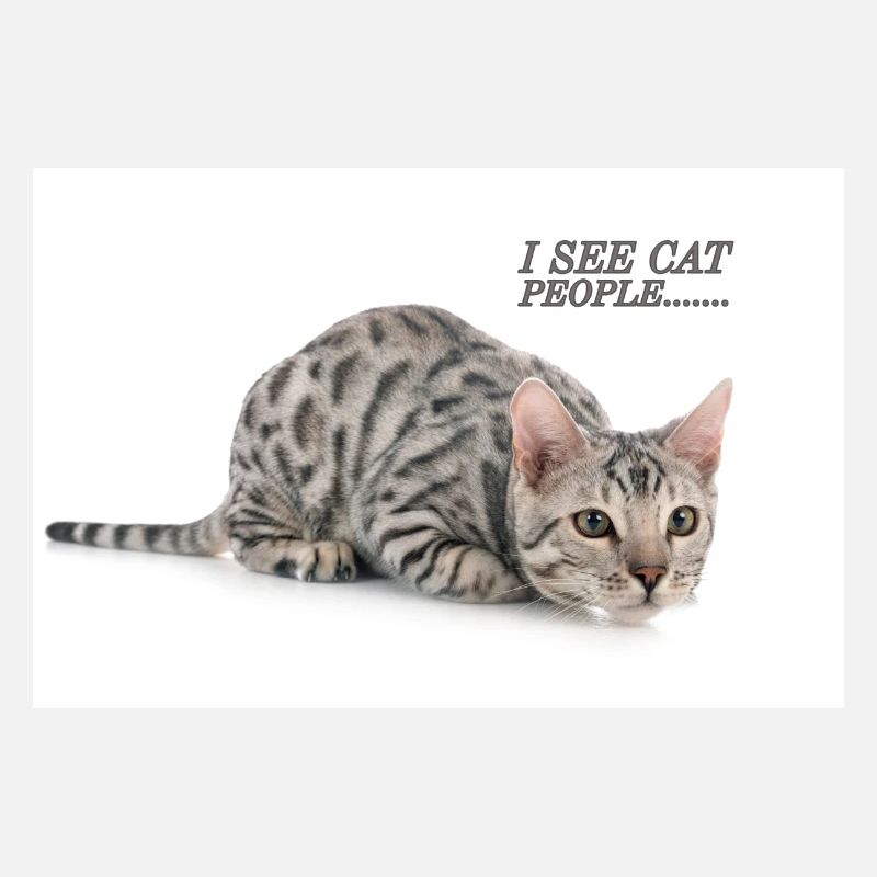 J’espionne avec mon œil de minou