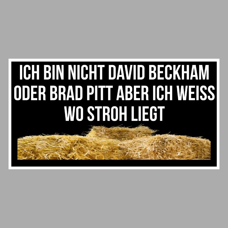 Stroh